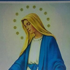 Meet your Posher, Larry